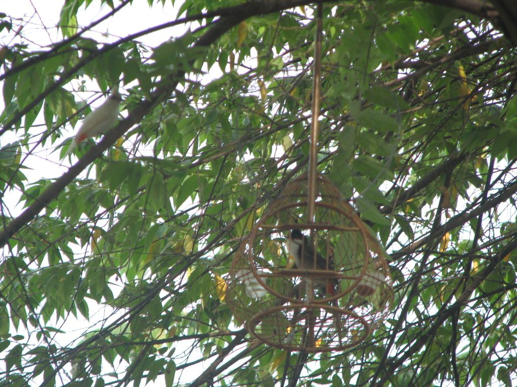 IMG_0164.jpg
